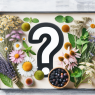 Dois-je prendre des plantes médicinales pendant la PCT ?